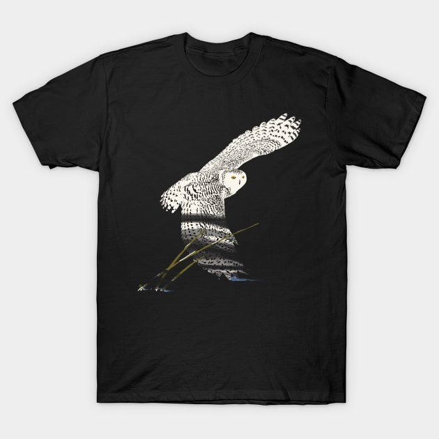 The snowy owl in flight T-Shirt by RobertBretonArt